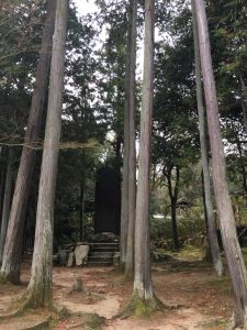 宝福寺雪舟碑と林