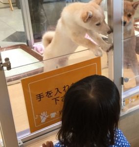 うめ子と犬