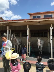 エサやりコーナーのお馬さんたち