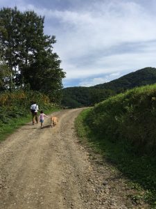 犬と乗馬場