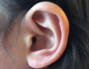 うめ子の耳