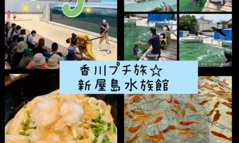 新屋島水族館ブログ